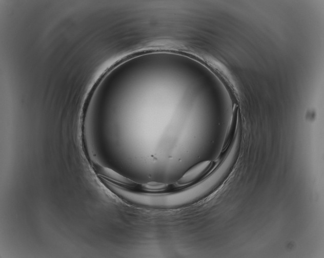 X0000096171288200801181242