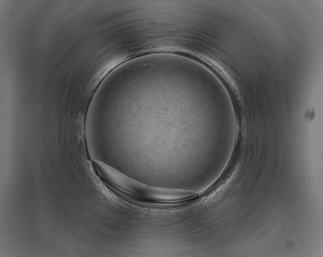 X0000096171289200801181242