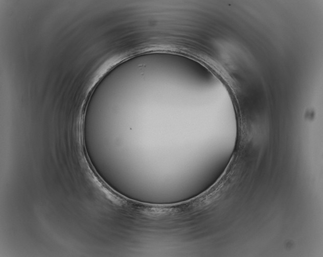 X0000096171290200801181242