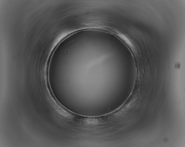 X0000096171291200801181242