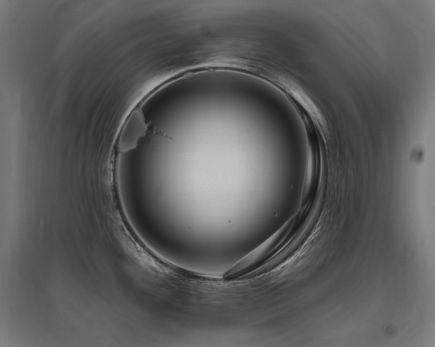 X0000096171292200801181242