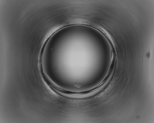 X0000096171293200801181242