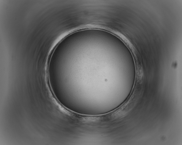X0000096171294200801181242