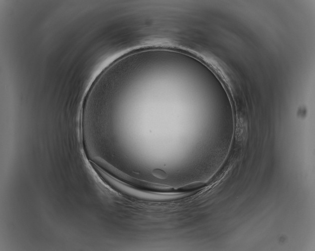X0000096171295200801181242
