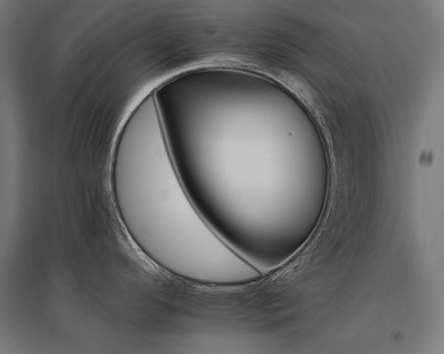 X0000096171296200801181241
