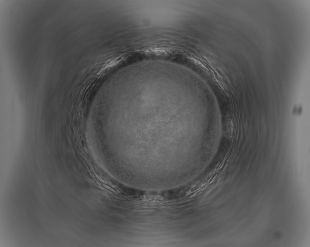 X0000096171297200801181241