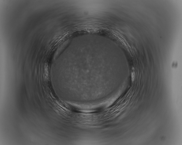 X0000096171298200801181241