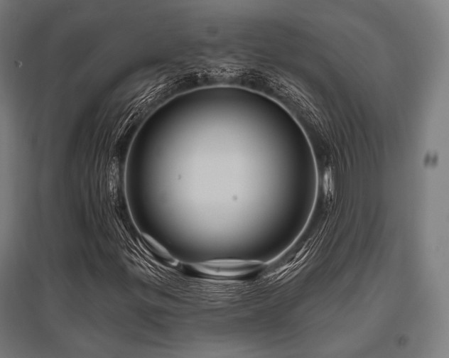 X0000096171299200801181241