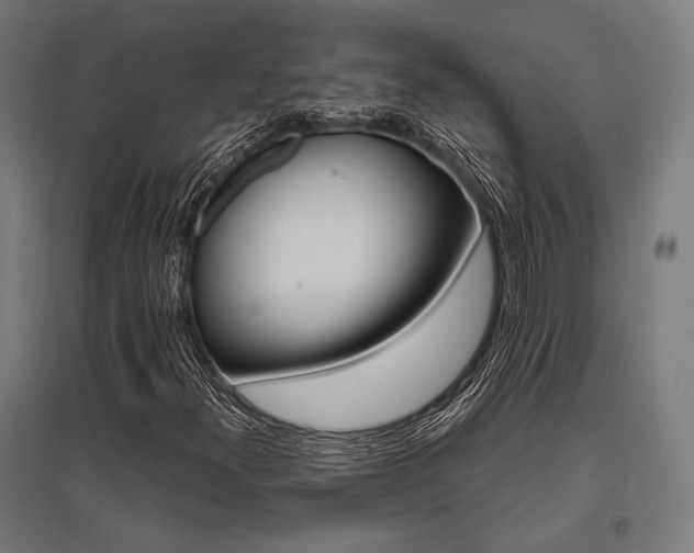 X0000096171300200801181241