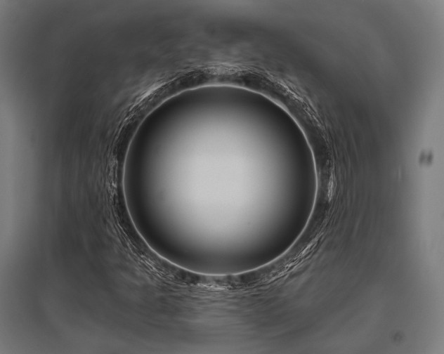 X0000096171301200801181241