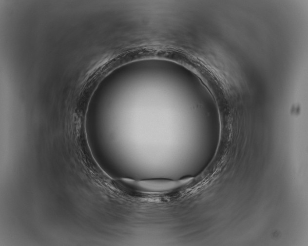 X0000096171302200801181241