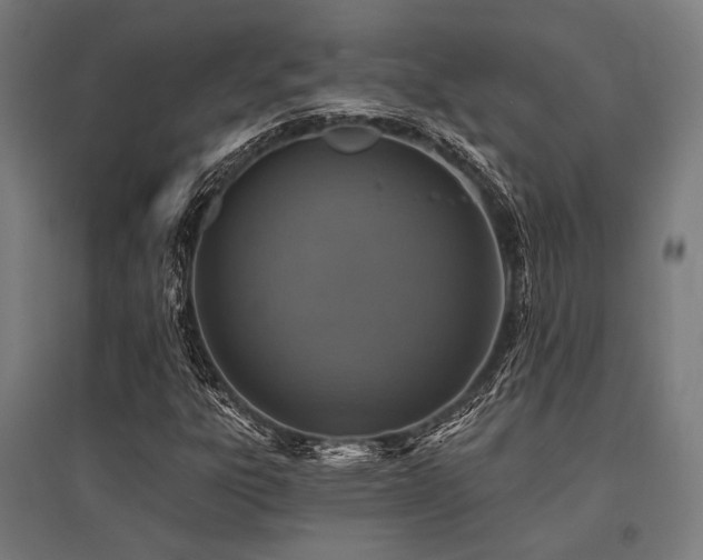 X0000096171303200801181241