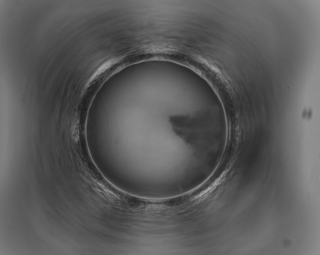 X0000096171306200801181241