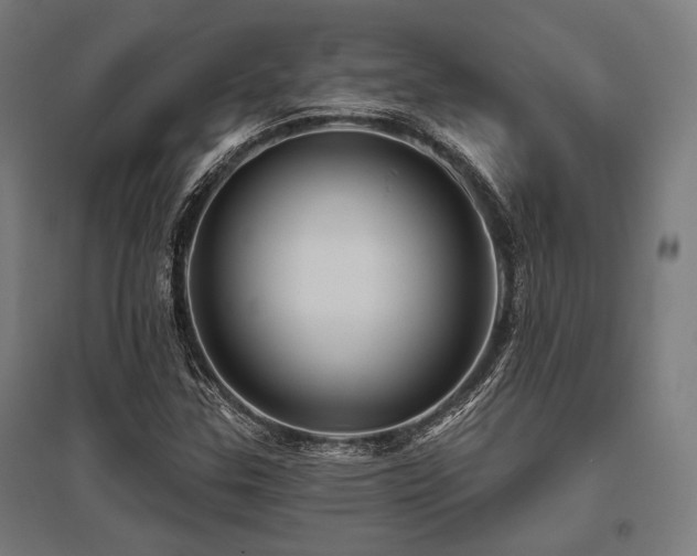 X0000096171307200801181241