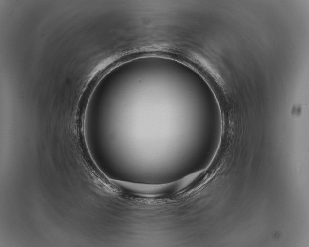 X0000096171308200801181241