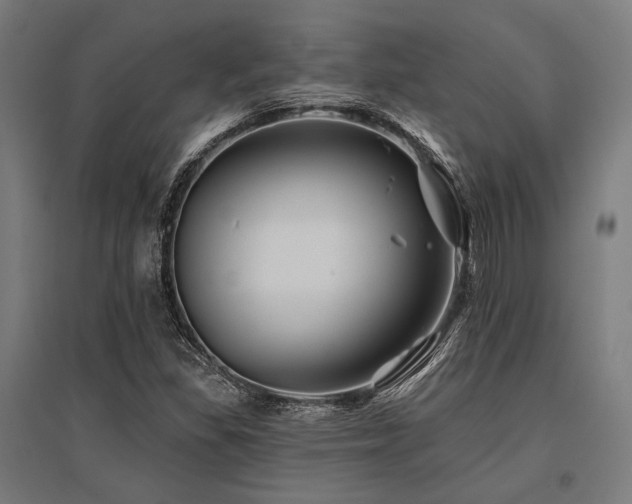 X0000096171309200801181241