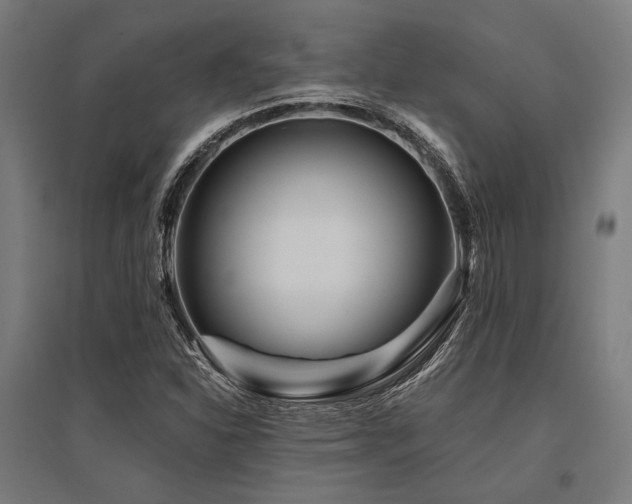X0000096171310200801181241