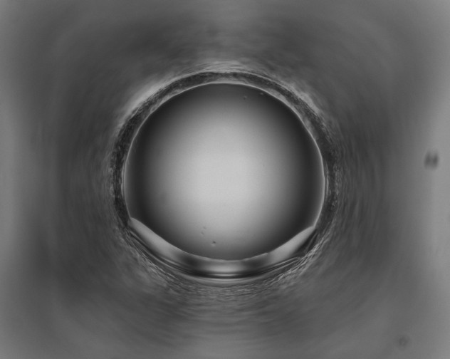 X0000096171311200801181241