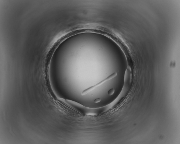 X0000096171312200801181241
