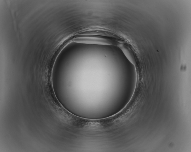X0000096171313200801181241