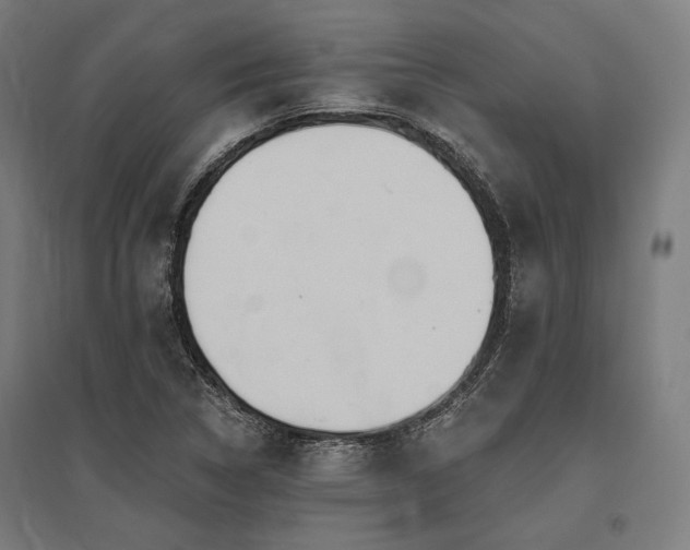 X0000096171314200801181241