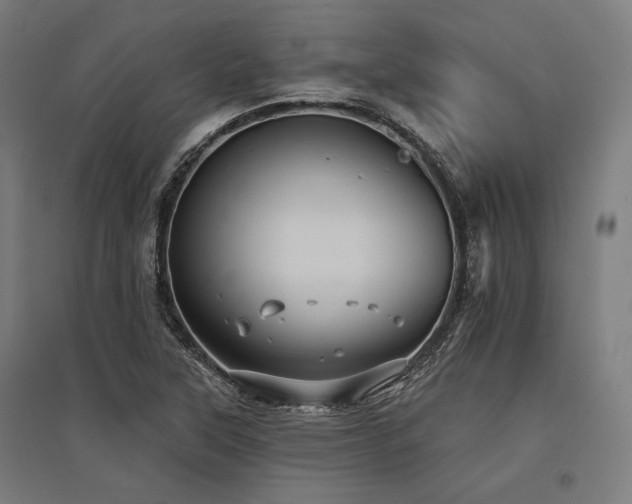 X0000096171315200801181241