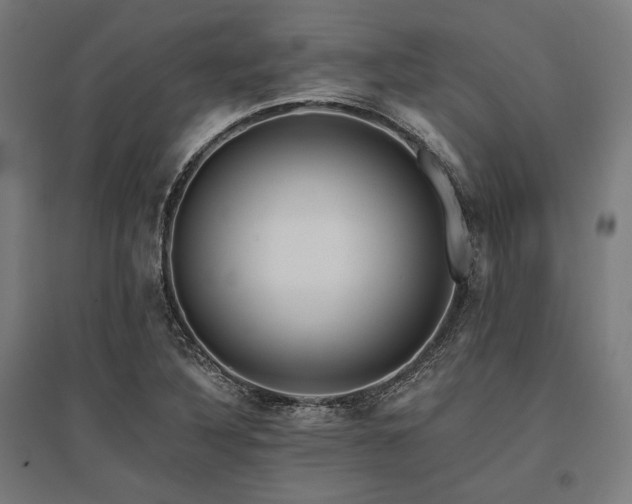 X0000096171316200801181241