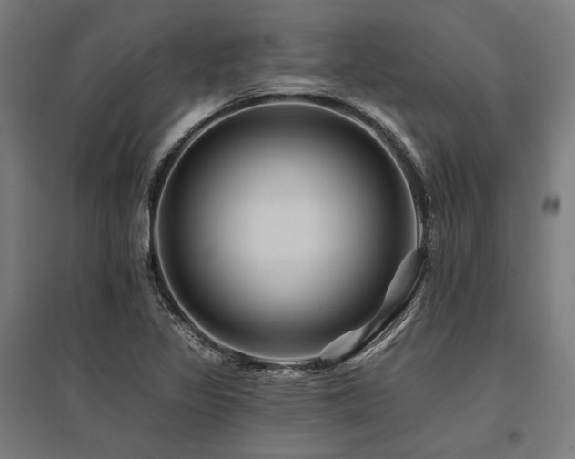 X0000096171317200801181241