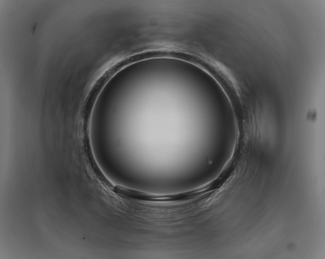 X0000096171318200801181241