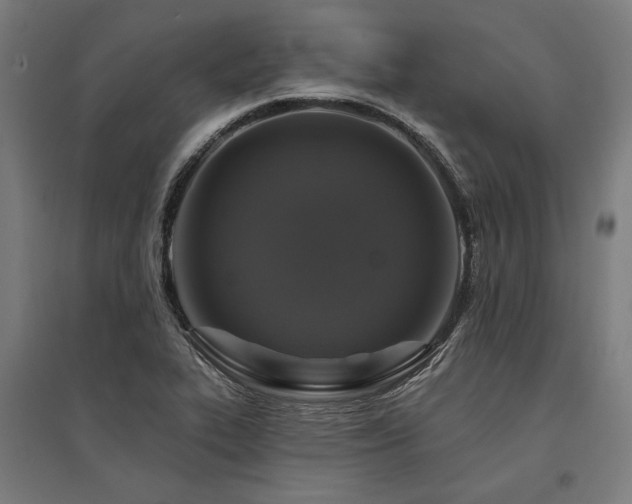X0000096171319200801181241