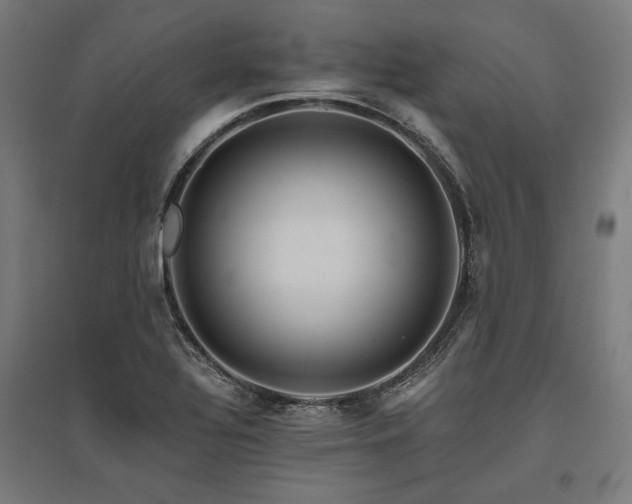 X0000096171320200801181241