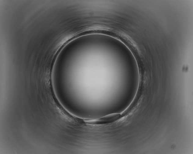 X0000096171321200801181241