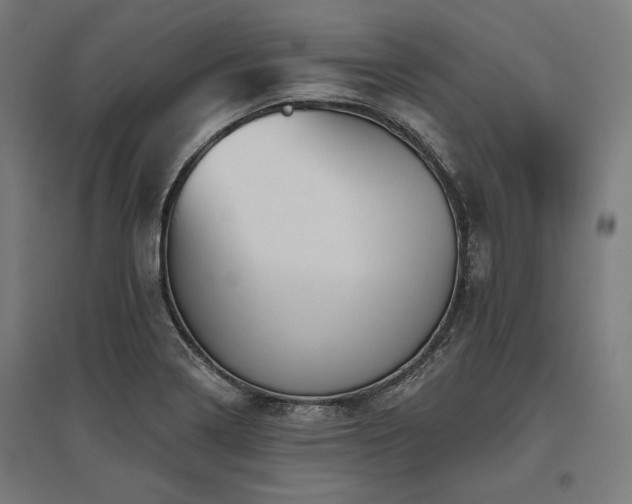 X0000096171322200801181241