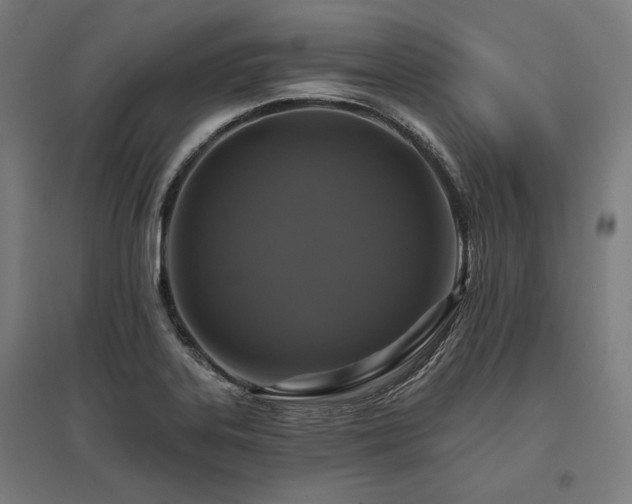 X0000096171323200801181241