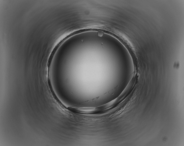 X0000096171324200801181241