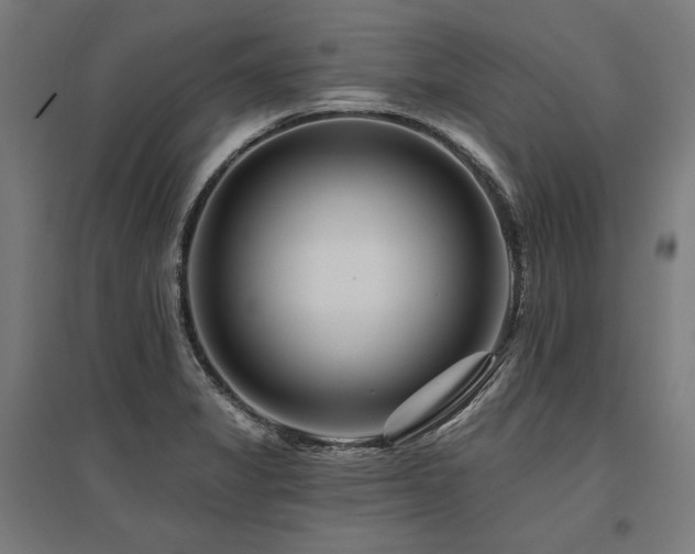 X0000096171325200801181241