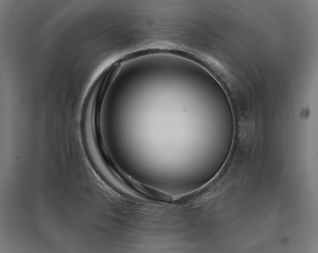 X0000096171326200801181241