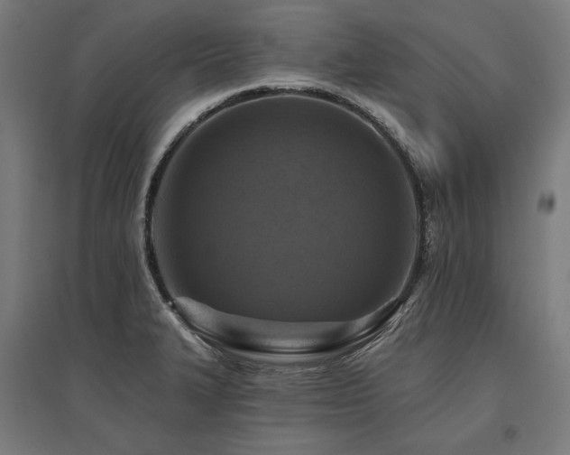 X0000096171327200801181241