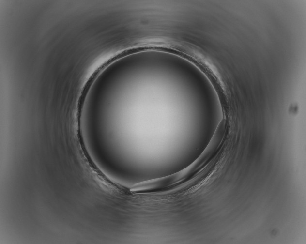 X0000096171328200801181241
