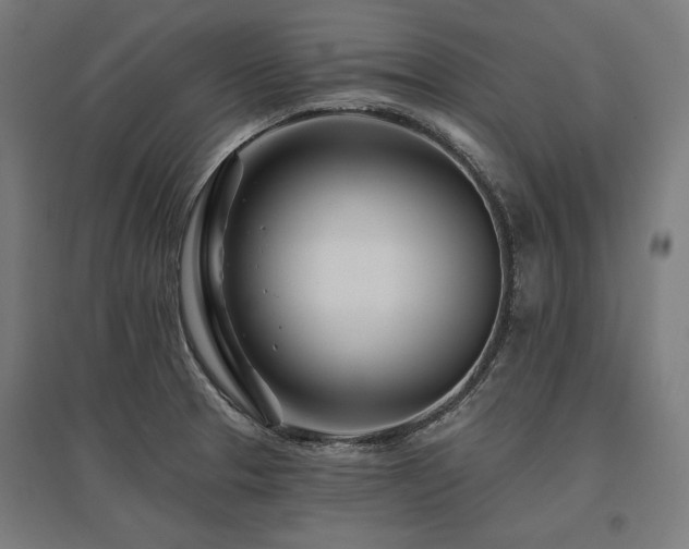 X0000096171329200801181241