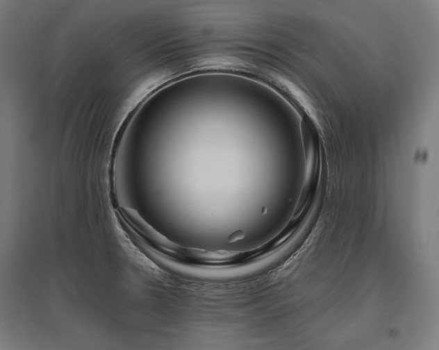 X0000096171330200801181241