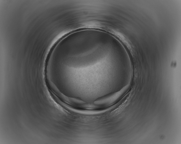 X0000096171331200801181241