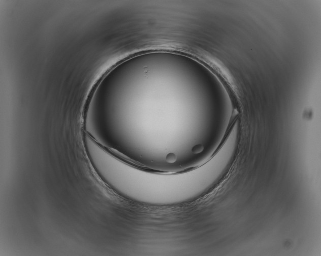 X0000096171332200801181241