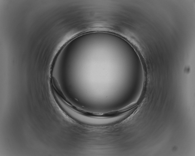 X0000096171333200801181241