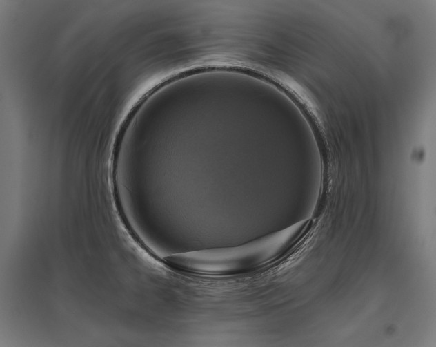 X0000096171334200801181241