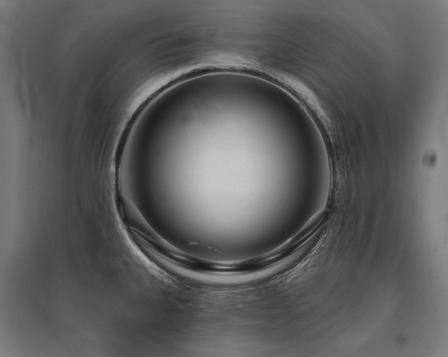 X0000096171335200801181241
