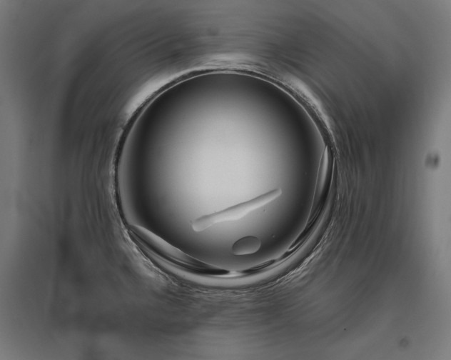 X0000096171336200801181241