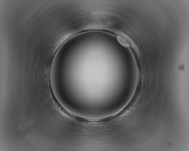X0000096171337200801181241