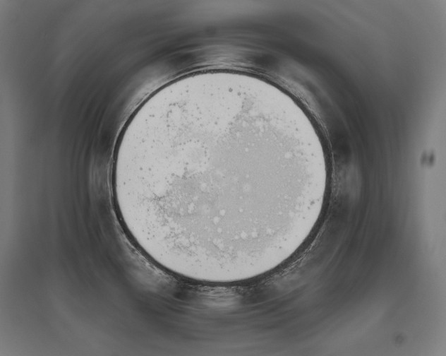 X0000096171338200801181241
