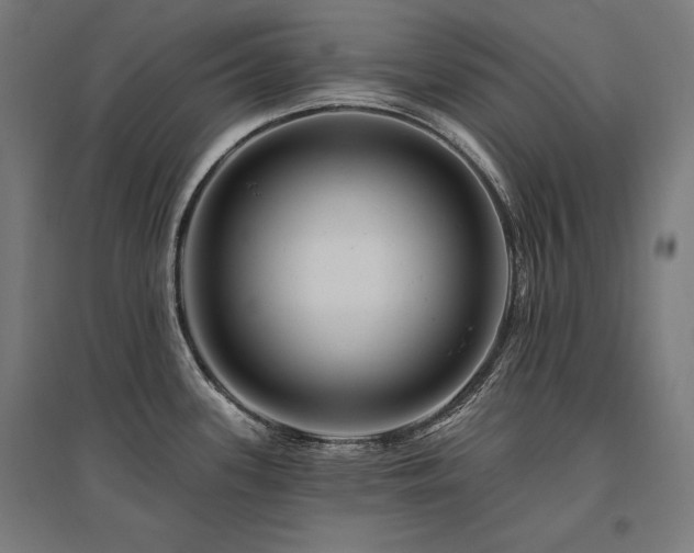 X0000096171339200801181241